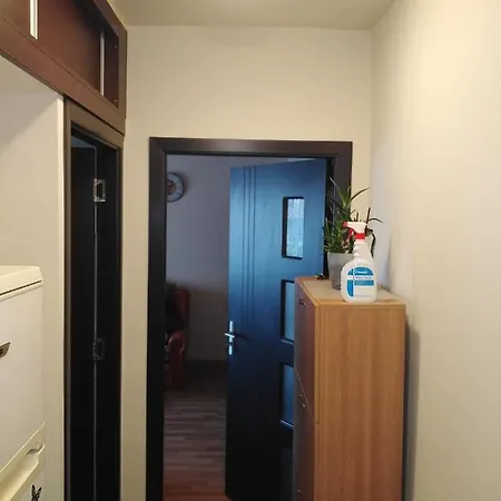 Albatros Lägenhet Mangalia